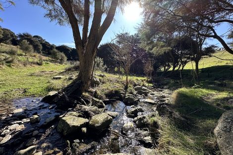 Photo of property in 136 Dons Creek Road, Waitati, 9085