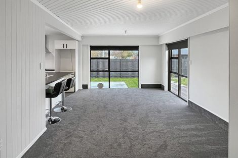 Photo of property in 107 Limbrick Street, Terrace End, Palmerston North, 4410