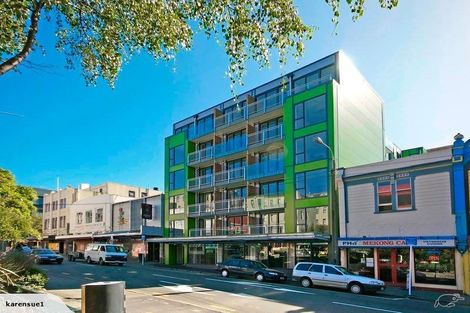 Photo of property in Dual Apartments, 508/142 Vivian Street, Te Aro, Wellington, 6011