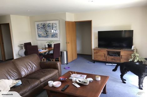 Photo of property in 35b Oxley Avenue, St Albans, Christchurch, 8014