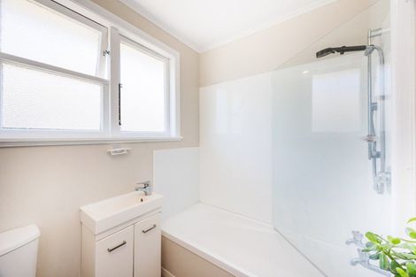 Photo of property in 125 Limbrick Street, Terrace End, Palmerston North, 4410