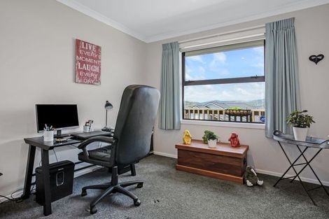 Photo of property in 169 John Burke Drive, Aotea, Porirua, 5024