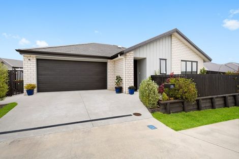 Photo of property in 20 Pragma Rise, Rototuna North, Hamilton, 3210