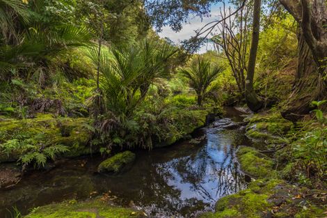 Photo of property in 233 Ahuroa Valley Road, Makarau, Warkworth, 0981