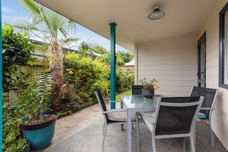 Photo of property in 118 Allerton Street, Saint Leonards, Hastings, 4120