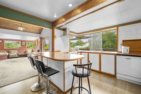 Photo of property in 19 Windsor Street, Springfield, Rotorua, 3015