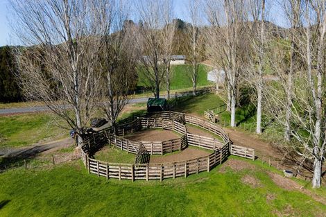 Photo of property in 118 Pukewera Road, Waihi, 3682