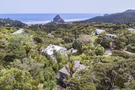 Photo of property in 7 Piha Road, Piha, 0772