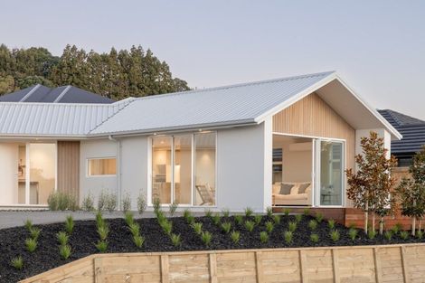 Photo of property in 53 Hass Drive, Ohauiti, Tauranga, 3112