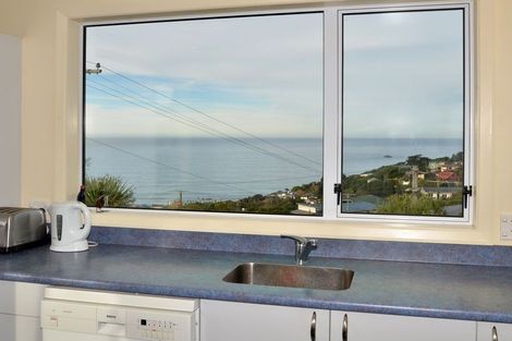 Photo of property in 48 Aberdeen Road, Saint Clair, Dunedin, 9012