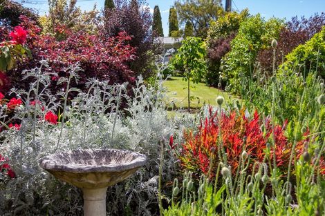 Photo of property in 43 Fergusson Street, Solway, Masterton, 5810