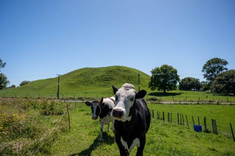 Photo of property in 254 Ngatira Road, Lichfield, Putaruru, 3482