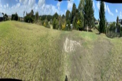 Photo of property in 86 Bergin Road, Foxton, 4814