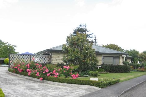 Photo of property in 1 Chelsea Court, Feilding, 4702