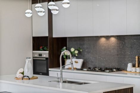 Photo of property in 1 Elevation Street, Flat Bush, Auckland, 2019