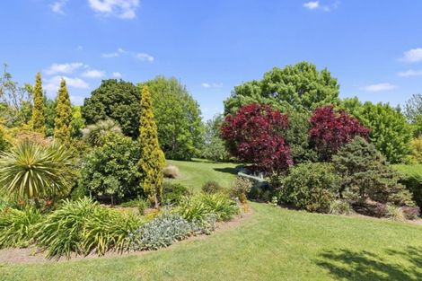 Photo of property in 2051 Tahuna Road, Te Hoe, Ohinewai, 3784