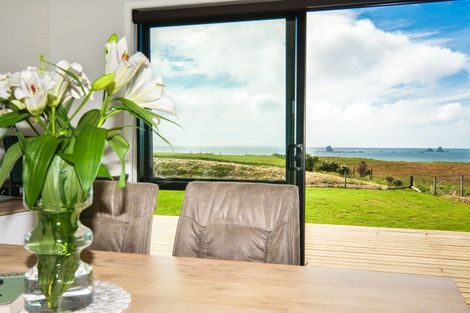 Photo of property in 1010 Cape Foulwind Road, Cape Foulwind, Westport, 7892