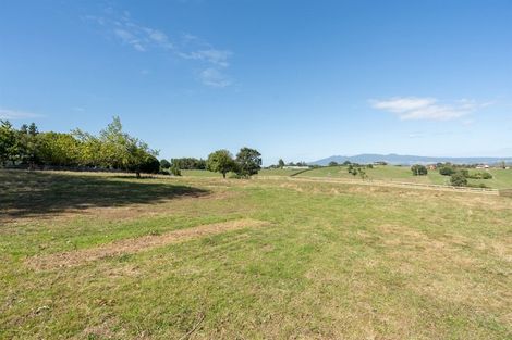 Photo of property in 25 Mccandlish Road, Ngahinapouri, Ohaupo, 3290