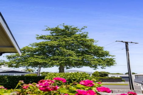 Photo of property in 187 Brooklands Road, Vogeltown, New Plymouth, 4310