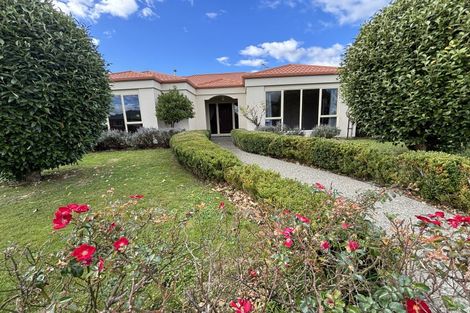 Photo of property in 21 Madison Avenue, Milson, Palmerston North, 4414