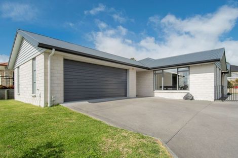 Photo of property in 161 Rowesdale Drive, Ohauiti, Tauranga, 3112