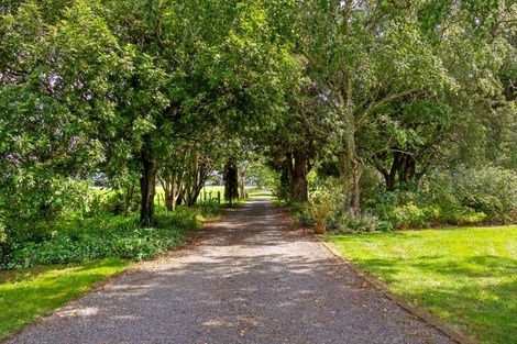 Photo of property in 119 Te Whiti Sett Road, Te Whiti, Masterton, 5884