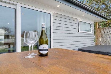 Photo of property in 95 Stanford Street North, Ashhurst, 4810