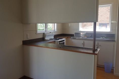 Photo of property in 28 Camellia Place, Mount Roskill, Auckland, 1041