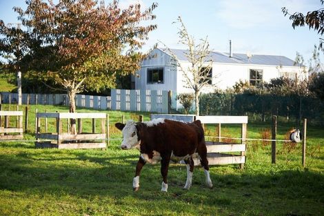 Photo of property in 1528a Pyes Pa Road, Oropi, Tauranga, 3173