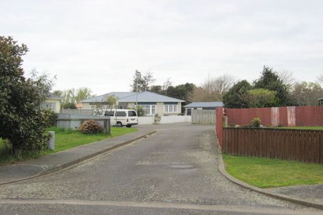 Photo of property in 24a Douglas Street, Levin, 5510