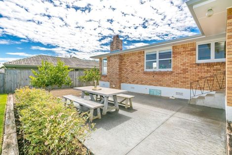 Photo of property in 53 Newcastle Road, Dinsdale, Hamilton, 3204