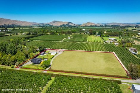 Photo of property in 77 Algernon Road, Longlands, Hastings, 4172