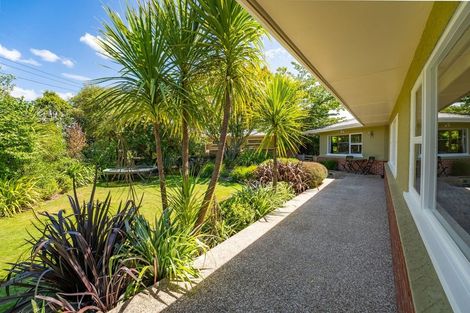 Photo of property in 9 Hunt Terrace, Wakefield, 7025