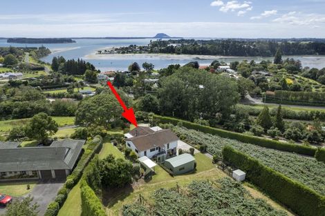 Photo of property in 221 Plummers Point Road, Whakamarama, Tauranga, 3172