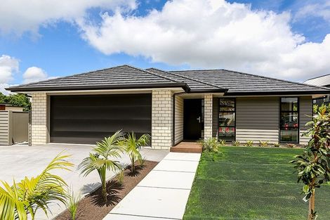 Photo of property in 31 Sycamore Grove, Lower Vogeltown, New Plymouth, 4310