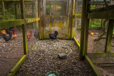 Photo of property in 2171 Parikanapa Road, Tiniroto, Manutuke, 4078