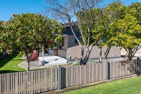 Photo of property in 207 Weld Street, Witherlea, Blenheim, 7201