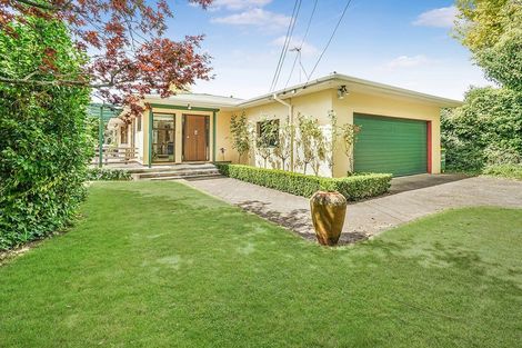 Photo of property in 38 Queenwood Avenue, Queenwood, Hamilton, 3210