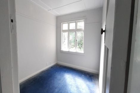 Photo of property in 6 Semeloff Terrace, Aro Valley, Wellington, 6021