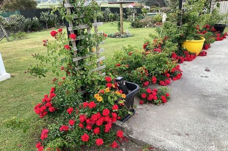 Photo of property in 12 Lorne Street, Dargaville, 0310