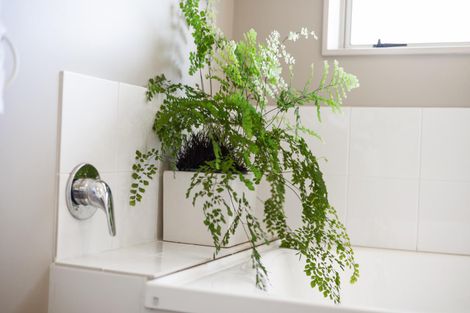 Photo of property in 7 Mirbeck Avenue, Cambridge, 3434