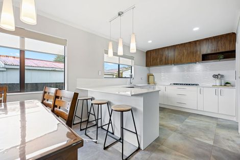 Photo of property in 231a Clarkin Road, Fairfield, Hamilton, 3214