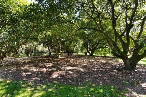 Photo of property in 356 Belk Road, Omanawa, Tauranga, 3171