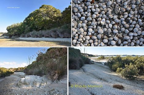 Photo of property in 186 Metcalfe Road, Ranui, Auckland, 0612