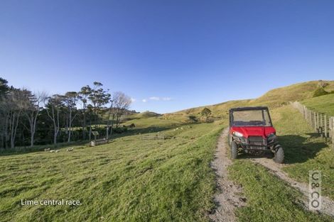 Photo of property in 208 Valley Road, Mangapapa, Gisborne, 4010