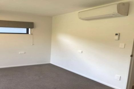 Photo of property in 30 Ti Kouka Lane, Sandringham, Auckland, 1025