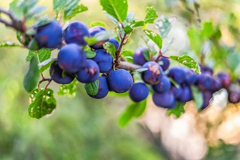 Photo of property in 13 Lord Street, Stokes Valley, Lower Hutt, 5019