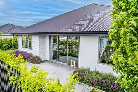 Photo of property in 29 Youngberry Drive, Richmond, 7020