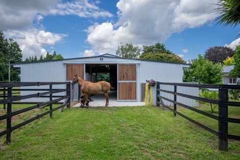 Photo of property in 442 Bruntwood Road, Tamahere, Cambridge, 3493