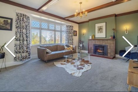 Photo of property in 17 Leven Street, Roslyn, Dunedin, 9010